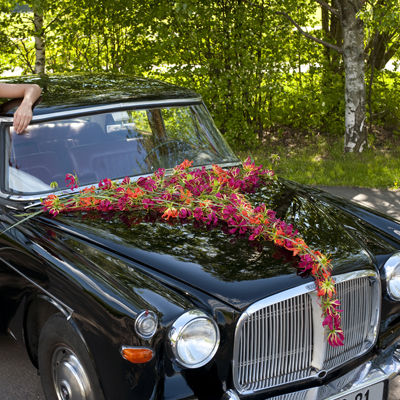 brud 10 bil_DSC0159 400px